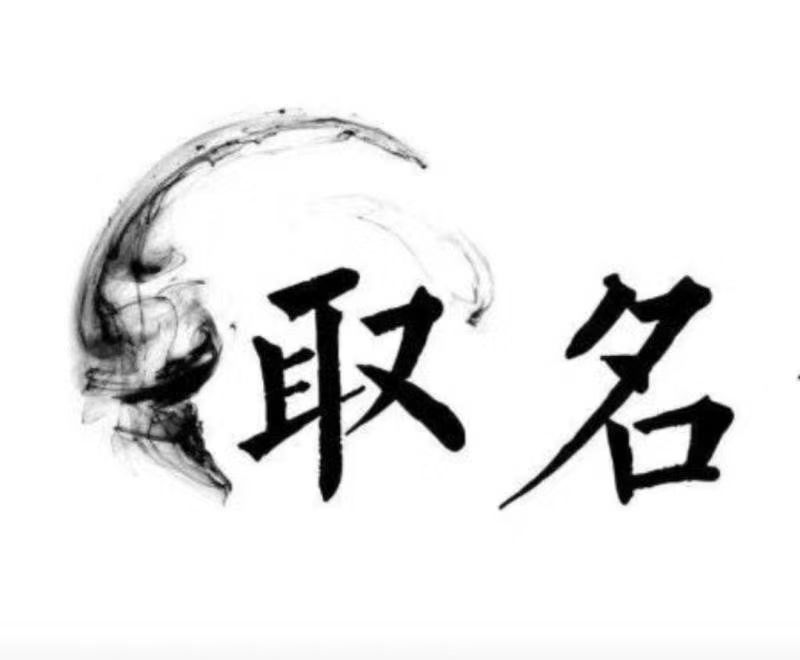  红星宝宝取名 大师一对一人工起名